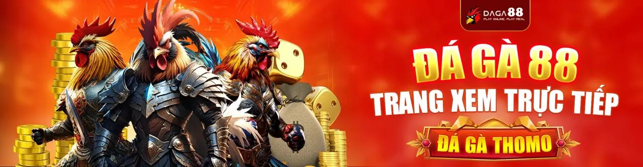 Đá gà trực tiếp e888 kịch tính